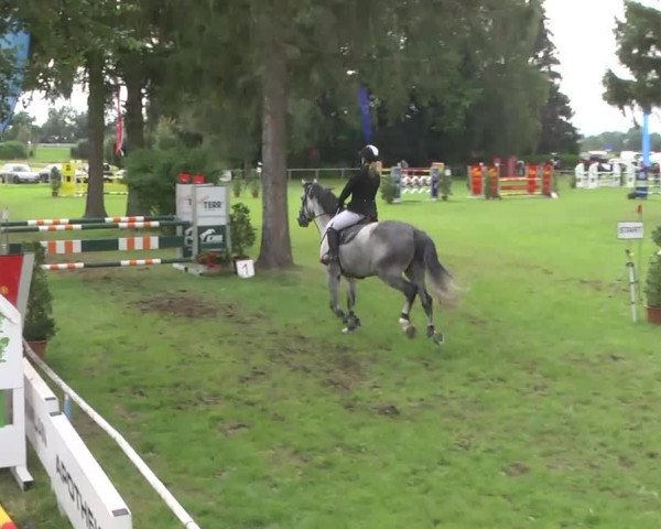 Reitturnier Memmingen 2016