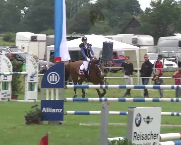 Reitturnier Memmingen 2016