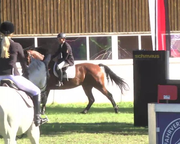 Reitturnier Memmingen 2016