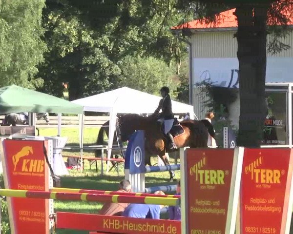 Reitturnier Memmingen 2016