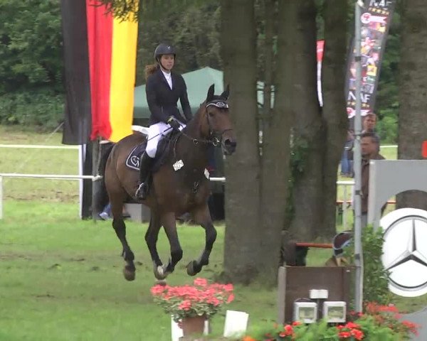 Reitturnier Memmingen 2016