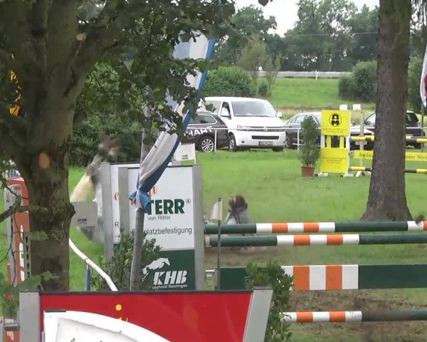 Reitturnier Memmingen 2016