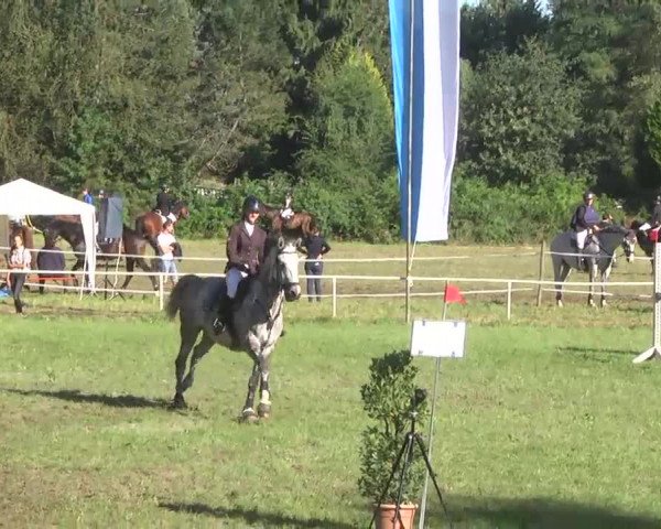 Reitturnier Memmingen 2016