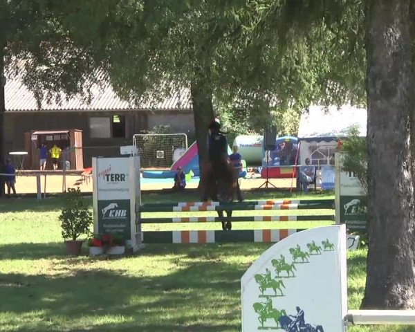 Reitturnier Memmingen 2016
