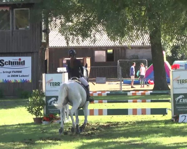 Reitturnier Memmingen 2016