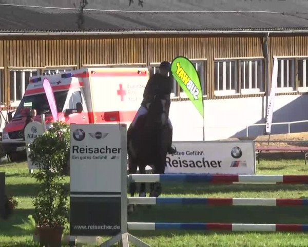 Reitturnier Memmingen 2016