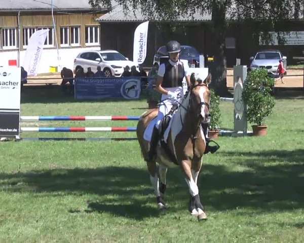 Reitturnier Memmingen 2016