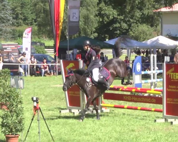 Reitturnier Memmingen 2016