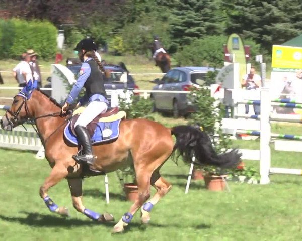 Reitturnier Memmingen 2016