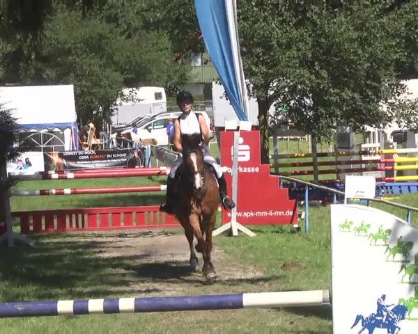 Reitturnier Memmingen 2016