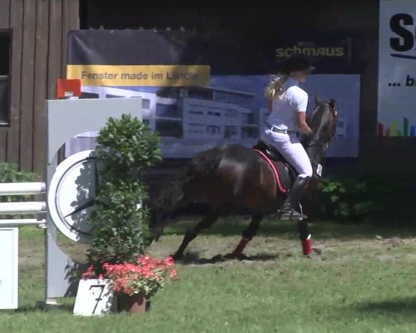 Reitturnier Memmingen 2016