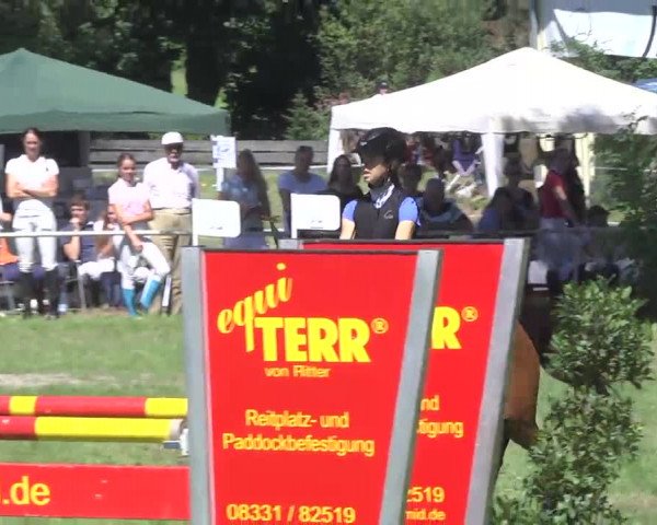Reitturnier Memmingen 2016