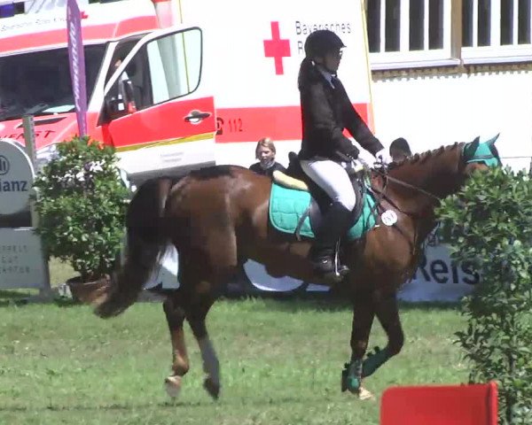Reitturnier Memmingen 2016