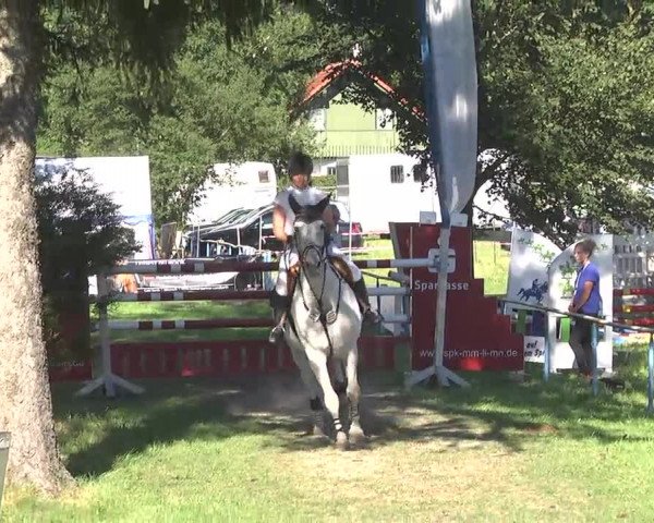 Reitturnier Memmingen 2016