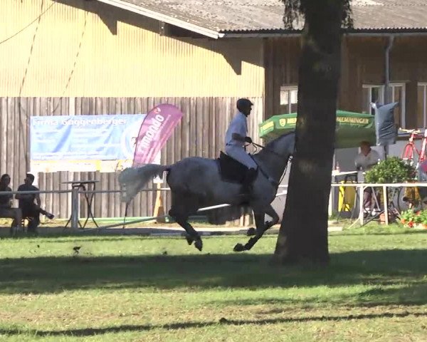 Reitturnier Memmingen 2016