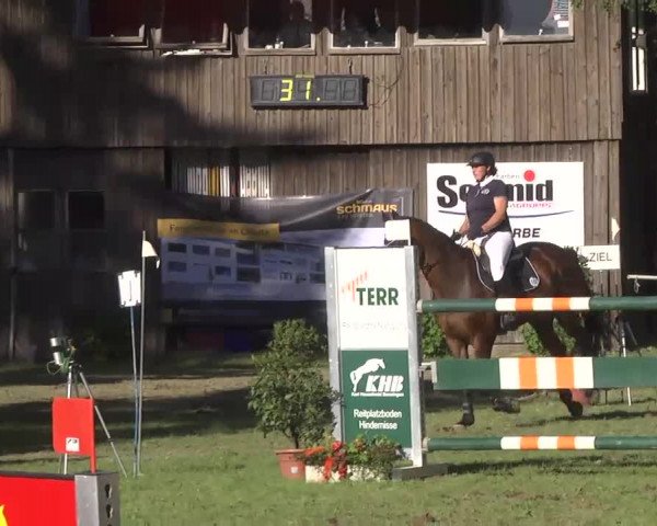 Reitturnier Memmingen 2016
