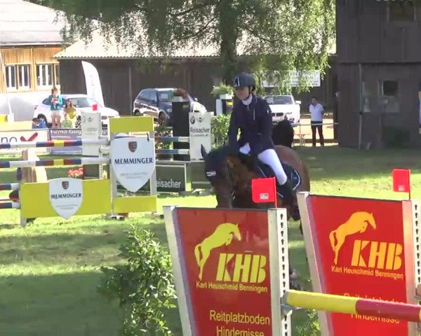 Reitturnier Memmingen 2016