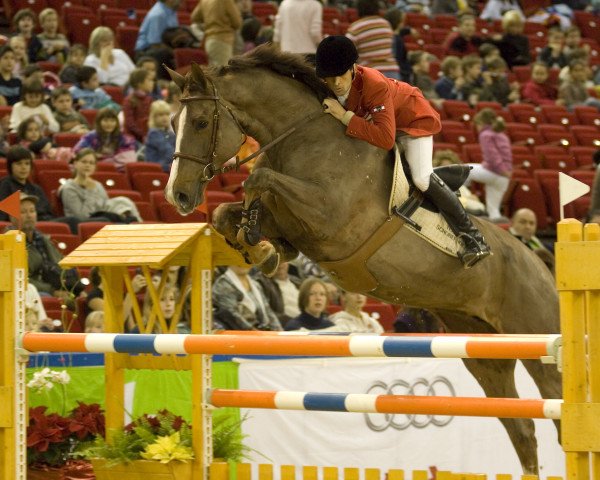 broodmare Ab Und Zu (American Warmblood, 2001, from Cor D'Alme Z)