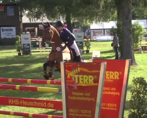 Reitturnier Memmingen 2016