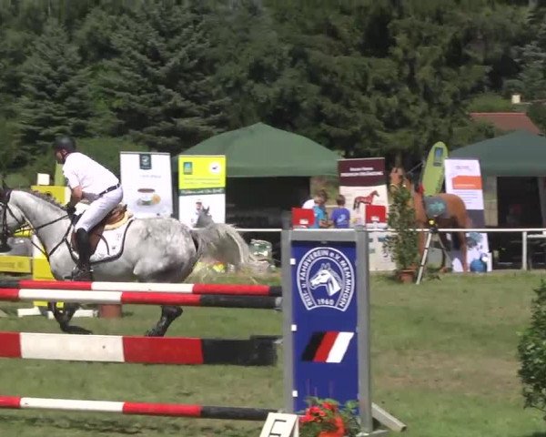 Reitturnier Memmingen 2016