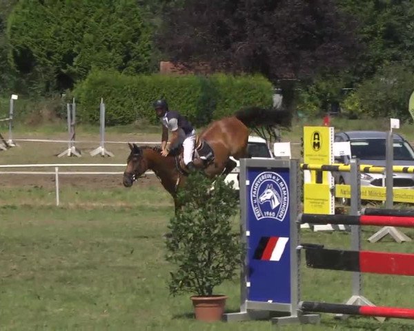 Reitturnier Memmingen 2016