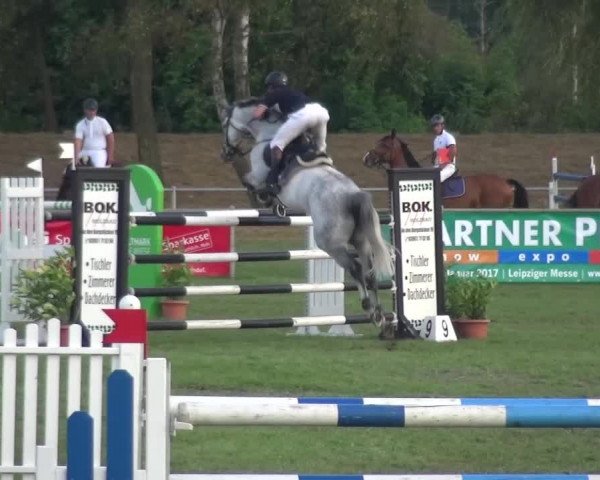 Reitturnier Gardelegen 2016