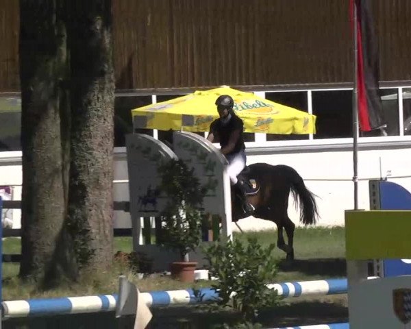 Reitturnier Memmingen 2016