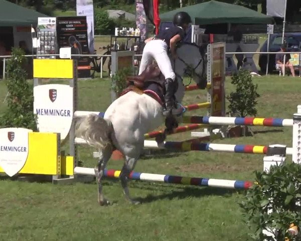Reitturnier Memmingen 2016