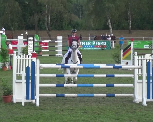 Reitturnier Gardelegen 2016
