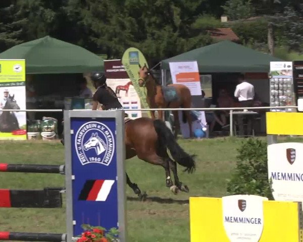 Reitturnier Memmingen 2016