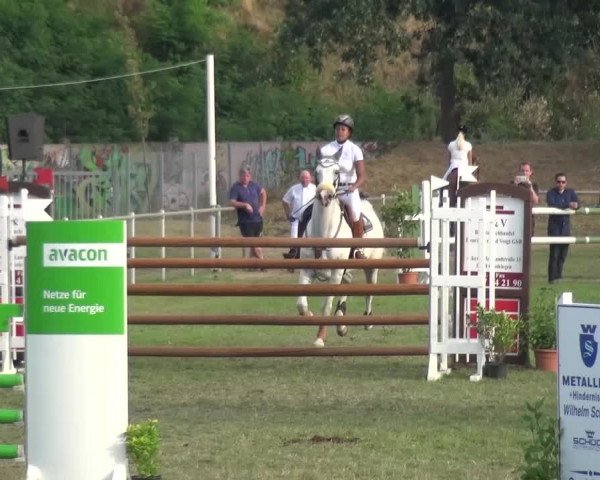 Reitturnier Gardelegen 2016
