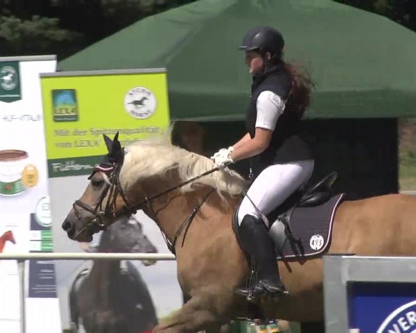 Reitturnier Memmingen 2016