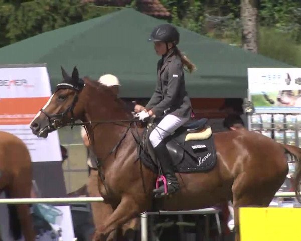 Reitturnier Memmingen 2016
