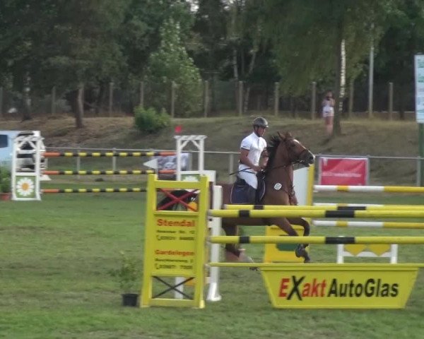 Reitturnier Gardelegen 2016
