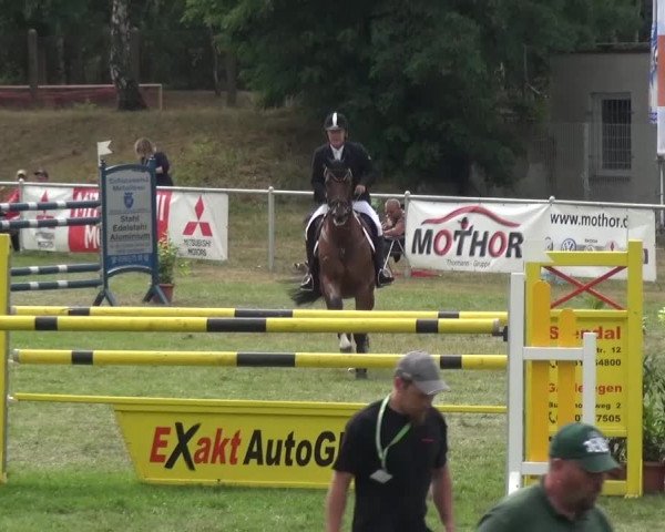 Reitturnier Gardelegen 2016
