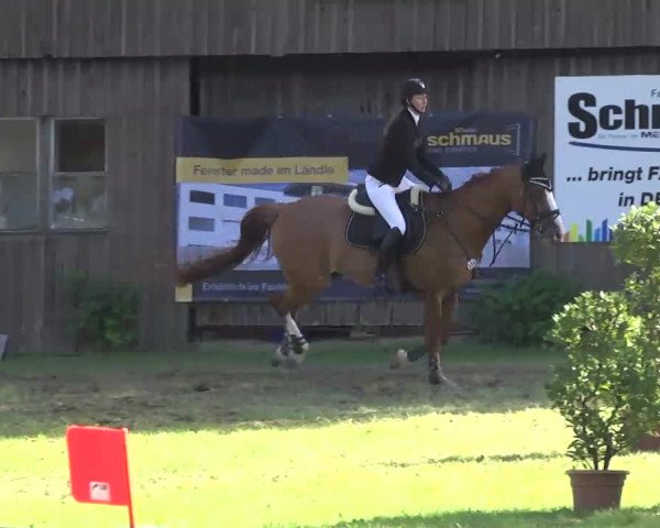 Reitturnier Memmingen 2016