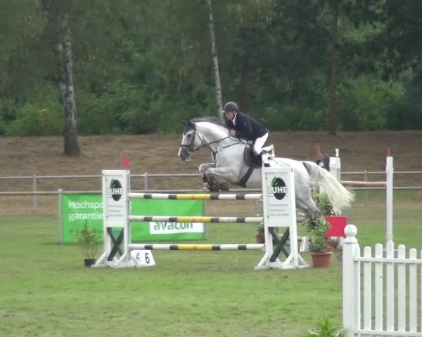 Reitturnier Gardelegen 2016
