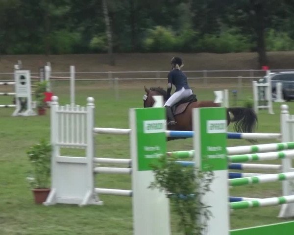 Reitturnier Gardelegen 2016