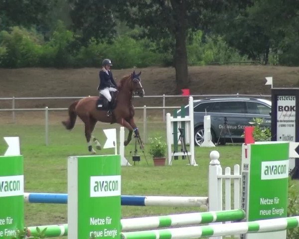 Reitturnier Gardelegen 2016