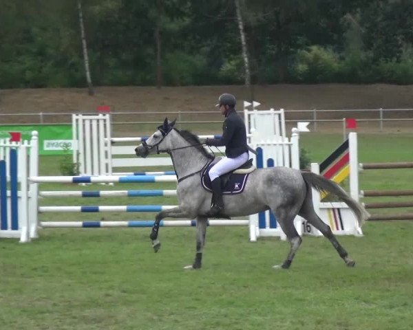 Reitturnier Gardelegen 2016