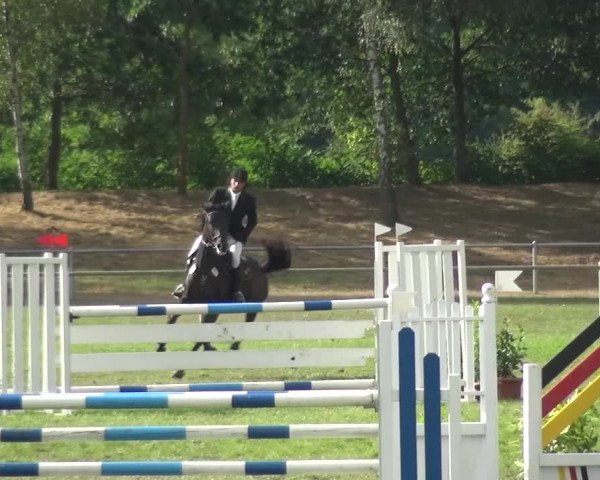 Reitturnier Gardelegen 2016