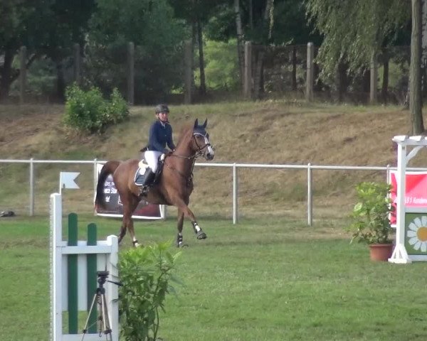 Reitturnier Gardelegen 2016
