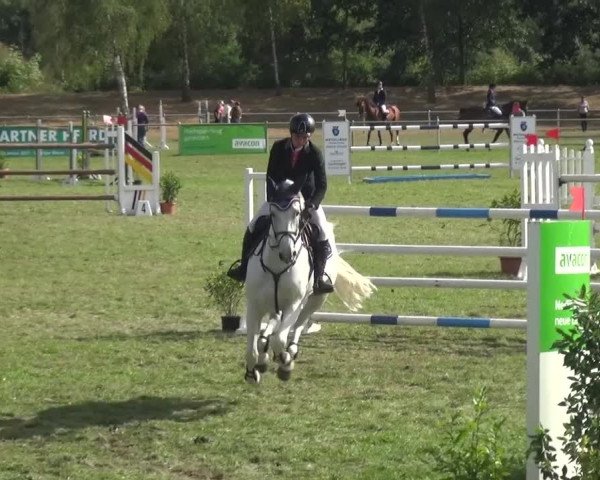 Reitturnier Gardelegen 2016