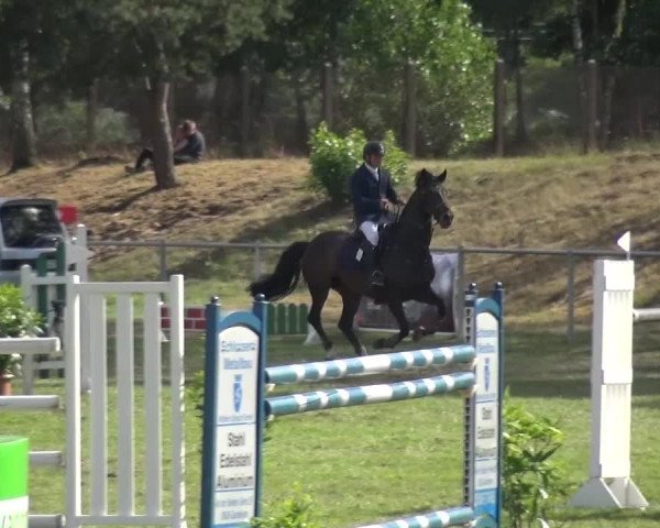 Reitturnier Gardelegen 2016