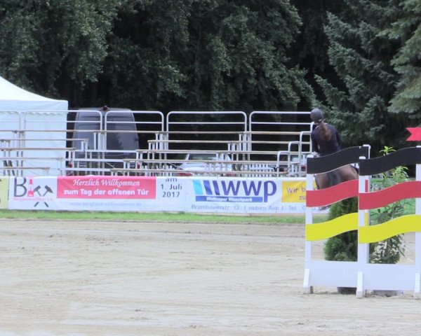 Waltroper Reitertage 2016