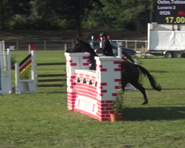 Reitturnier Gardelegen 2016