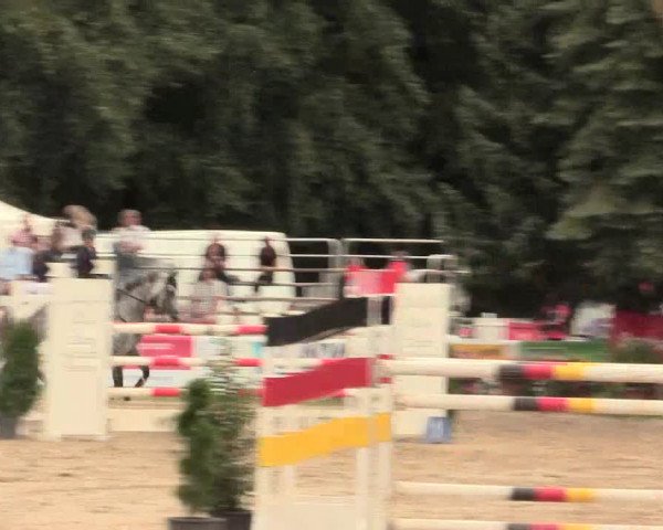 Waltroper Reitertage 2016