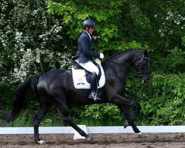 broodmare Delaroche (Hanoverian, 2015, from DeLorean)