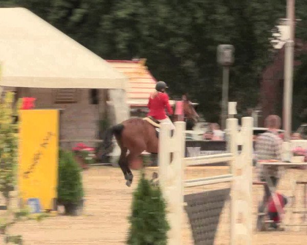 Waltroper Reitertage 2016