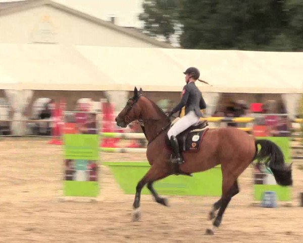 Waltroper Reitertage 2016